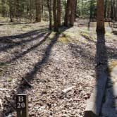 Review photo of Cosby Campground — Great Smoky Mountains National Park by Jean C., May 1, 2019