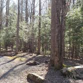 Review photo of Cosby Campground — Great Smoky Mountains National Park by Jean C., May 1, 2019