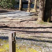 Review photo of Cosby Campground — Great Smoky Mountains National Park by Jean C., May 1, 2019