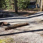 Review photo of Cosby Campground — Great Smoky Mountains National Park by Jean C., May 1, 2019