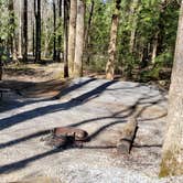 Review photo of Cosby Campground — Great Smoky Mountains National Park by Jean C., May 1, 2019