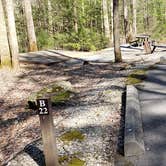 Review photo of Cosby Campground — Great Smoky Mountains National Park by Jean C., May 1, 2019