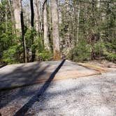 Review photo of Cosby Campground — Great Smoky Mountains National Park by Jean C., May 1, 2019