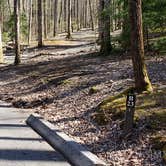 Review photo of Cosby Campground — Great Smoky Mountains National Park by Jean C., May 1, 2019