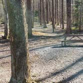 Review photo of Cosby Campground — Great Smoky Mountains National Park by Jean C., May 1, 2019