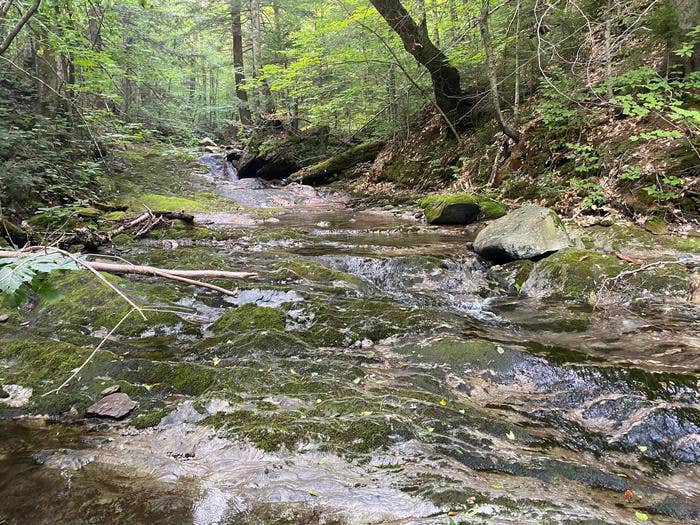 Camper submitted image from Chittenden Brook Campground - 3