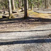 Review photo of Cosby Campground — Great Smoky Mountains National Park by Jean C., May 1, 2019