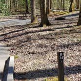 Review photo of Cosby Campground — Great Smoky Mountains National Park by Jean C., May 1, 2019