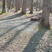 Review photo of Cosby Campground — Great Smoky Mountains National Park by Jean C., May 1, 2019