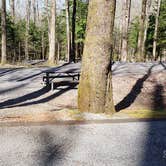 Review photo of Cosby Campground — Great Smoky Mountains National Park by Jean C., May 1, 2019