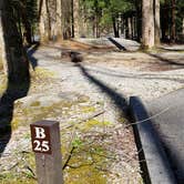 Review photo of Cosby Campground — Great Smoky Mountains National Park by Jean C., May 1, 2019