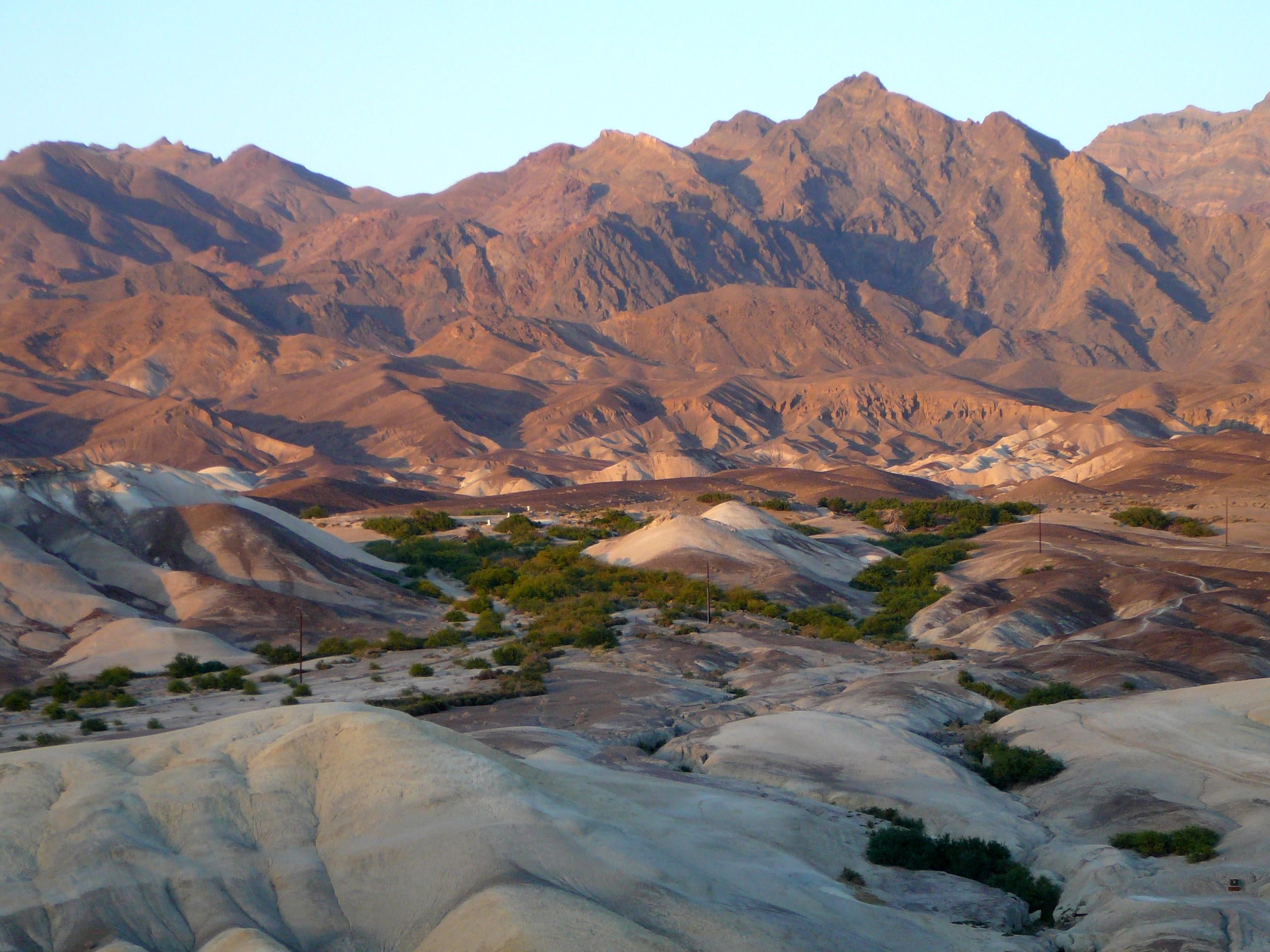 Camper submitted image from Texas Springs Campground — Death Valley National Park - 1