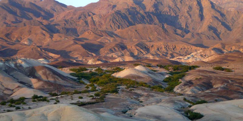 Camper submitted image from Texas Springs Campground — Death Valley National Park