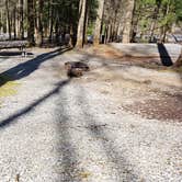 Review photo of Cosby Campground — Great Smoky Mountains National Park by Jean C., May 1, 2019