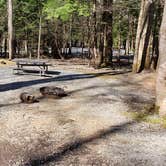Review photo of Cosby Campground — Great Smoky Mountains National Park by Jean C., May 1, 2019