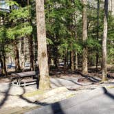 Review photo of Cosby Campground — Great Smoky Mountains National Park by Jean C., May 1, 2019