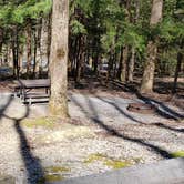 Review photo of Cosby Campground — Great Smoky Mountains National Park by Jean C., May 1, 2019