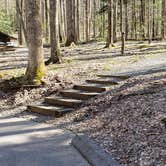 Review photo of Cosby Campground — Great Smoky Mountains National Park by Jean C., May 1, 2019