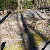 Review photo of Cosby Campground — Great Smoky Mountains National Park by Jean C., May 1, 2019