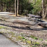 Review photo of Cosby Campground — Great Smoky Mountains National Park by Jean C., May 1, 2019