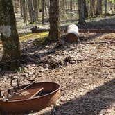 Review photo of Cosby Campground — Great Smoky Mountains National Park by Jean C., May 1, 2019