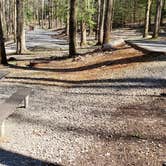 Review photo of Cosby Campground — Great Smoky Mountains National Park by Jean C., May 1, 2019