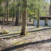 Review photo of Cosby Campground — Great Smoky Mountains National Park by Jean C., May 1, 2019