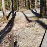 Review photo of Cosby Campground — Great Smoky Mountains National Park by Jean C., May 1, 2019