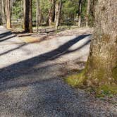 Review photo of Cosby Campground — Great Smoky Mountains National Park by Jean C., May 1, 2019