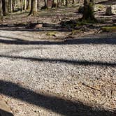Review photo of Cosby Campground — Great Smoky Mountains National Park by Jean C., May 1, 2019