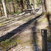 Review photo of Cosby Campground — Great Smoky Mountains National Park by Jean C., May 1, 2019