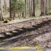 Review photo of Cosby Campground — Great Smoky Mountains National Park by Jean C., May 1, 2019