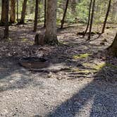 Review photo of Cosby Campground — Great Smoky Mountains National Park by Jean C., May 1, 2019