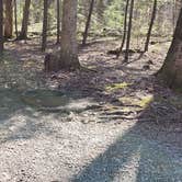 Review photo of Cosby Campground — Great Smoky Mountains National Park by Jean C., May 1, 2019