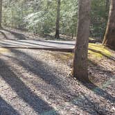 Review photo of Cosby Campground — Great Smoky Mountains National Park by Jean C., May 1, 2019