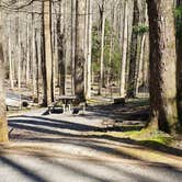 Review photo of Cosby Campground — Great Smoky Mountains National Park by Jean C., May 1, 2019
