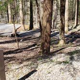 Review photo of Cosby Campground — Great Smoky Mountains National Park by Jean C., May 1, 2019