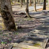 Review photo of Cosby Campground — Great Smoky Mountains National Park by Jean C., May 1, 2019