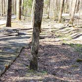 Review photo of Cosby Campground — Great Smoky Mountains National Park by Jean C., May 1, 2019