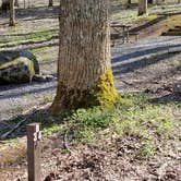 Review photo of Cosby Campground — Great Smoky Mountains National Park by Jean C., May 1, 2019