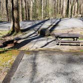 Review photo of Cosby Campground — Great Smoky Mountains National Park by Jean C., May 1, 2019