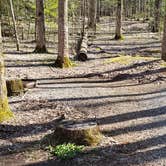 Review photo of Cosby Campground — Great Smoky Mountains National Park by Jean C., May 1, 2019