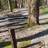 Review photo of Cosby Campground — Great Smoky Mountains National Park by Jean C., May 1, 2019