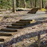 Review photo of Cosby Campground — Great Smoky Mountains National Park by Jean C., May 1, 2019