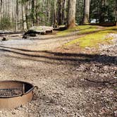 Review photo of Cosby Campground — Great Smoky Mountains National Park by Jean C., May 1, 2019
