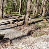 Review photo of Cosby Campground — Great Smoky Mountains National Park by Jean C., May 1, 2019