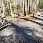 Review photo of Cosby Campground — Great Smoky Mountains National Park by Jean C., May 1, 2019