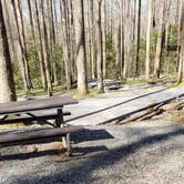 Review photo of Cosby Campground — Great Smoky Mountains National Park by Jean C., May 1, 2019