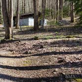 Review photo of Cosby Campground — Great Smoky Mountains National Park by Jean C., May 1, 2019