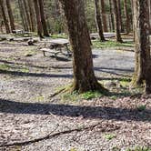 Review photo of Cosby Campground — Great Smoky Mountains National Park by Jean C., May 1, 2019